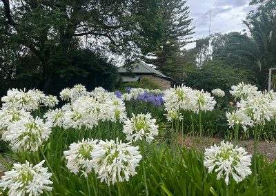 Ethel's Cottage Bed and Breakfast Clare Valley