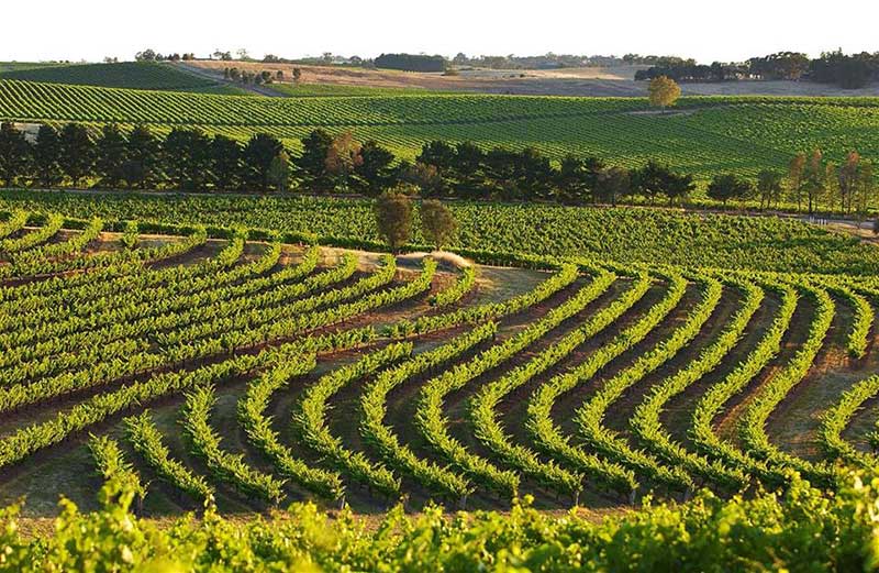 Ethel’s Cottage Clare Valley Holiday Accommodation