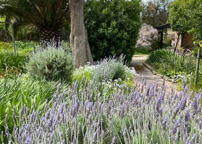 Ethel's Cottage Bed and Breakfast Clare Valley