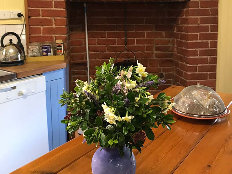 Ethel’s Cottage Clare Valley Holiday Accommodation